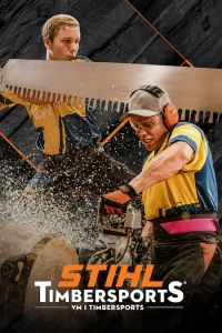 stihl vm